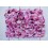 Decke zerfetzt DARK PINK